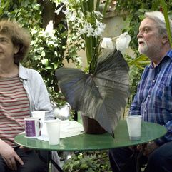 Foto 2 Dias em Paris