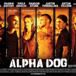 Foto Alpha Dog