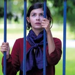 Foto Bem Me Quer, Mal Me Quer