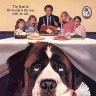 Foto Beethoven, o Magnífico