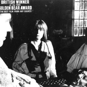 Foto Armadilha do Destino