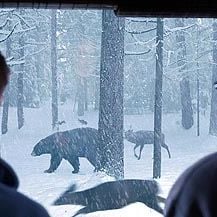 Foto O Apanhador de Sonhos