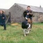 Foto Um Anjo para May