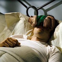 Foto Alvin e os Esquilos