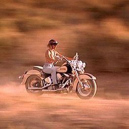 Foto Advogado por Engano