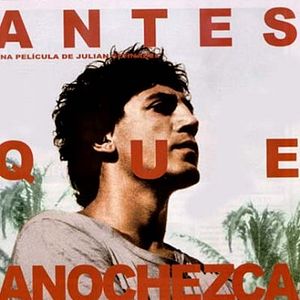 Foto Antes do Anoitecer