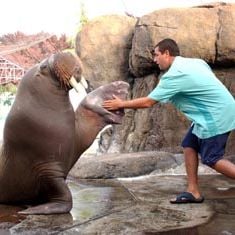 Foto Como Se Fosse a Primeira Vez