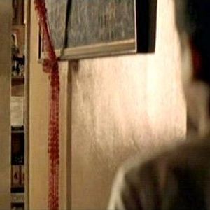 Foto Dia de Treinamento