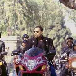 Foto Corridas Clandestinas