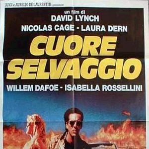 Foto Coração Selvagem