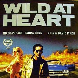 Foto Coração Selvagem