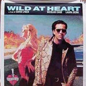 Foto Coração Selvagem