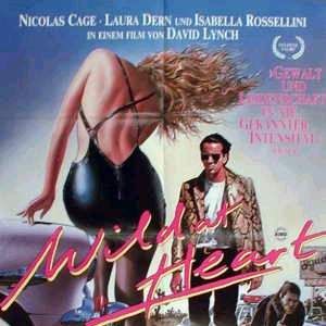 Foto Coração Selvagem