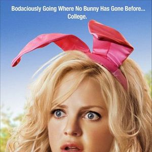 Foto A Casa das Coelhinhas