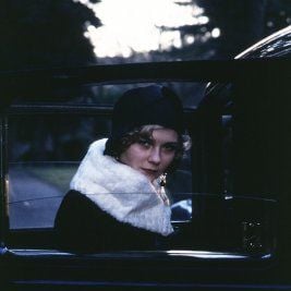 Foto O Miado do Gato