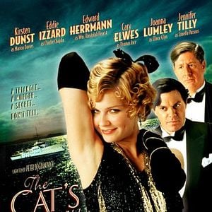 Foto O Miado do Gato