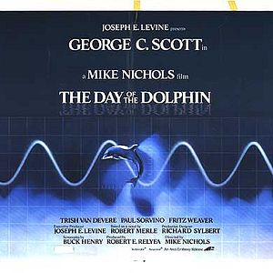 Foto O Dia do Golfinho