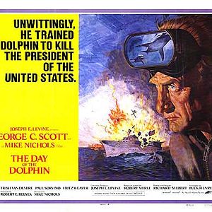 Foto O Dia do Golfinho