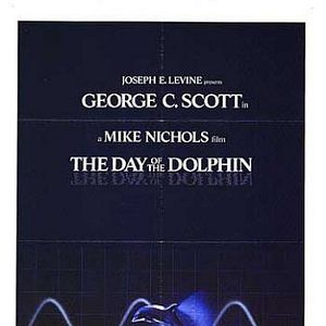 Foto O Dia do Golfinho