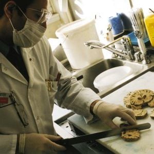 Foto Desejo e Obsessão