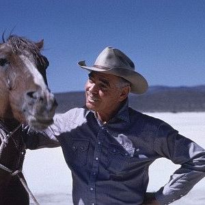 Foto Os Desajustados