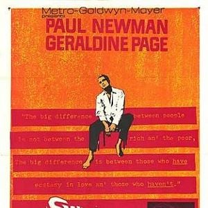 Foto Doce Pássaro da Juventude