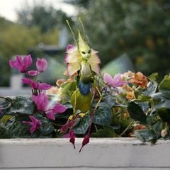 Foto As Crônicas de Spiderwick