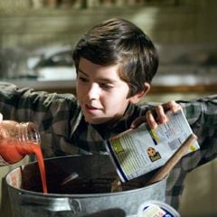 Foto As Crônicas de Spiderwick