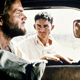 Foto Cinema, Aspirinas e Urubus