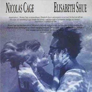 Foto Despedida em Las Vegas