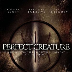 Foto Criatura Perfeita