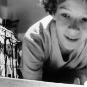 Foto A Chave Mágica