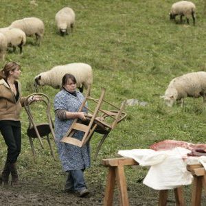 Foto Crimes de Autor