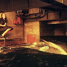 Foto Do Fundo do Mar