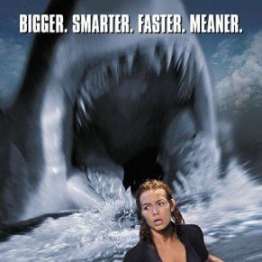 Foto Do Fundo do Mar