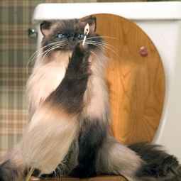 Foto Uma Comédia Nada Romântica