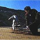 Foto Diário de um Gângster