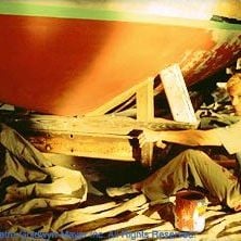 Foto Experimentando a Vida