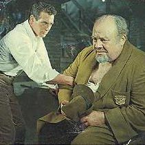 Foto Gata em Teto de Zinco Quente