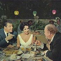 Foto Gata em Teto de Zinco Quente