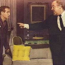 Foto Gata em Teto de Zinco Quente