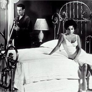 Foto Gata em Teto de Zinco Quente