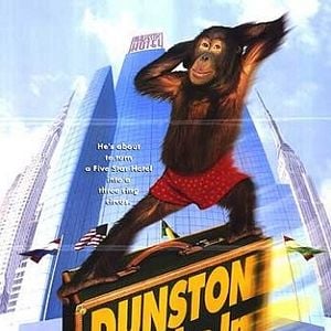 Foto O Hóspede Quer Bananas