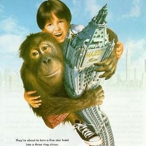 Foto O Hóspede Quer Bananas