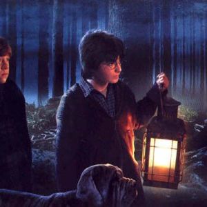 Foto Harry Potter e a Câmara Secreta