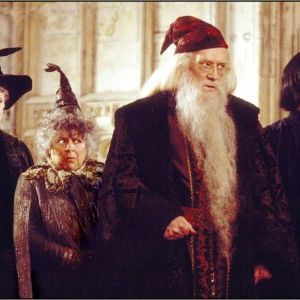 Foto Harry Potter e a Câmara Secreta