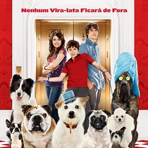 Foto Um Hotel Bom pra Cachorro