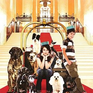 Foto Um Hotel Bom pra Cachorro