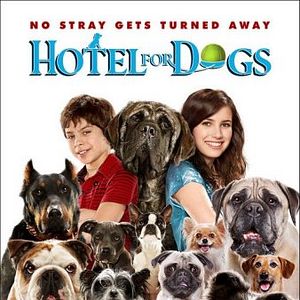 Foto Um Hotel Bom pra Cachorro