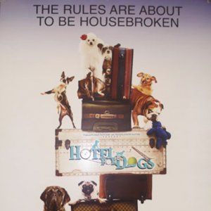 Foto Um Hotel Bom pra Cachorro